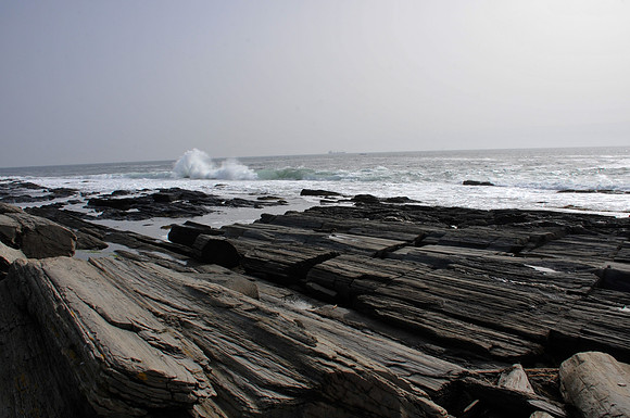 _DSC0716