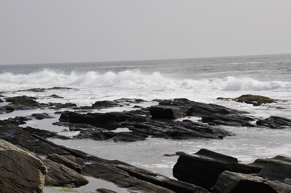 _DSC0715