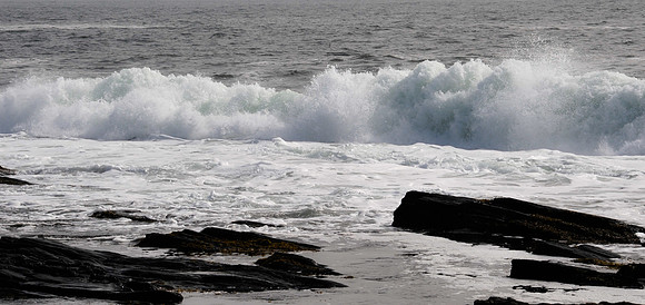 _DSC0709