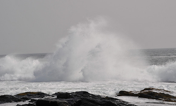 _DSC0708